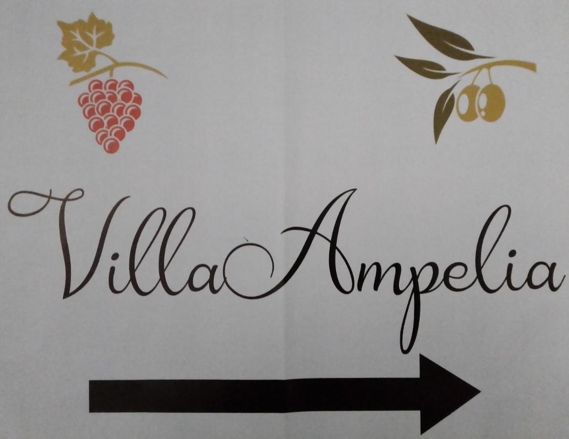Villa Ampelia Sitía Extérieur photo