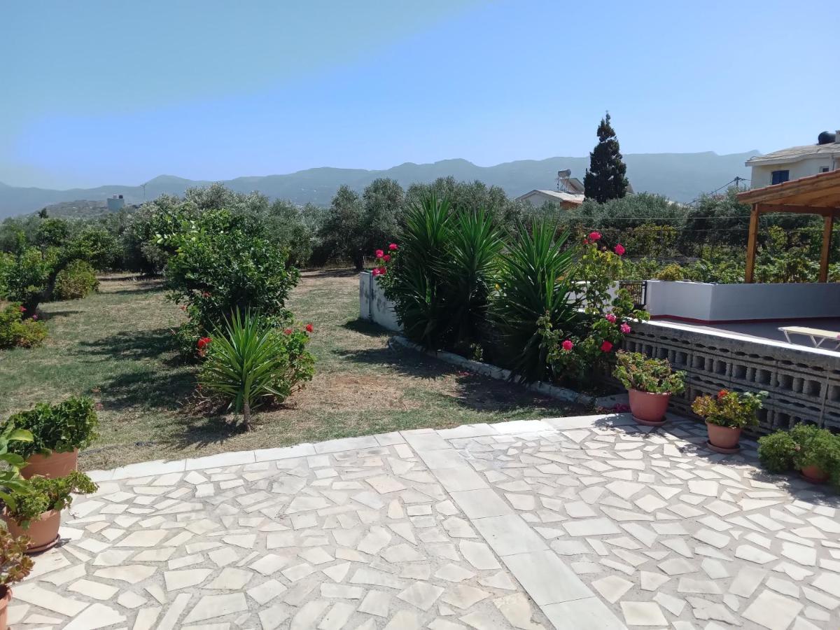 Villa Ampelia Sitía Extérieur photo